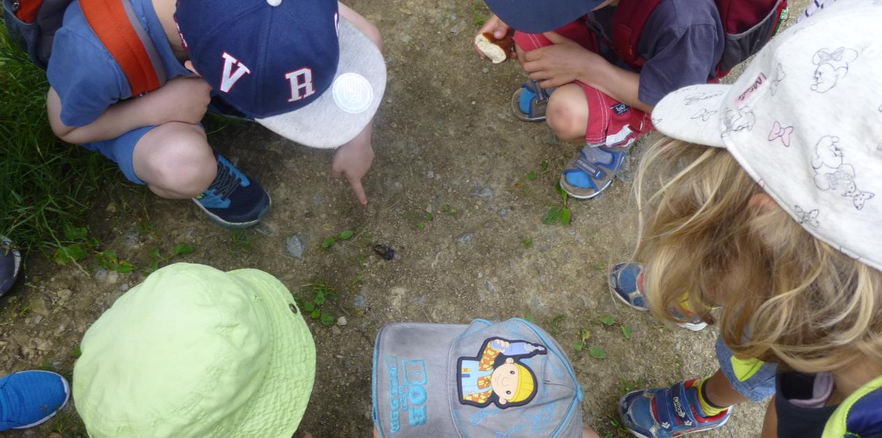 Freispiel im Garten