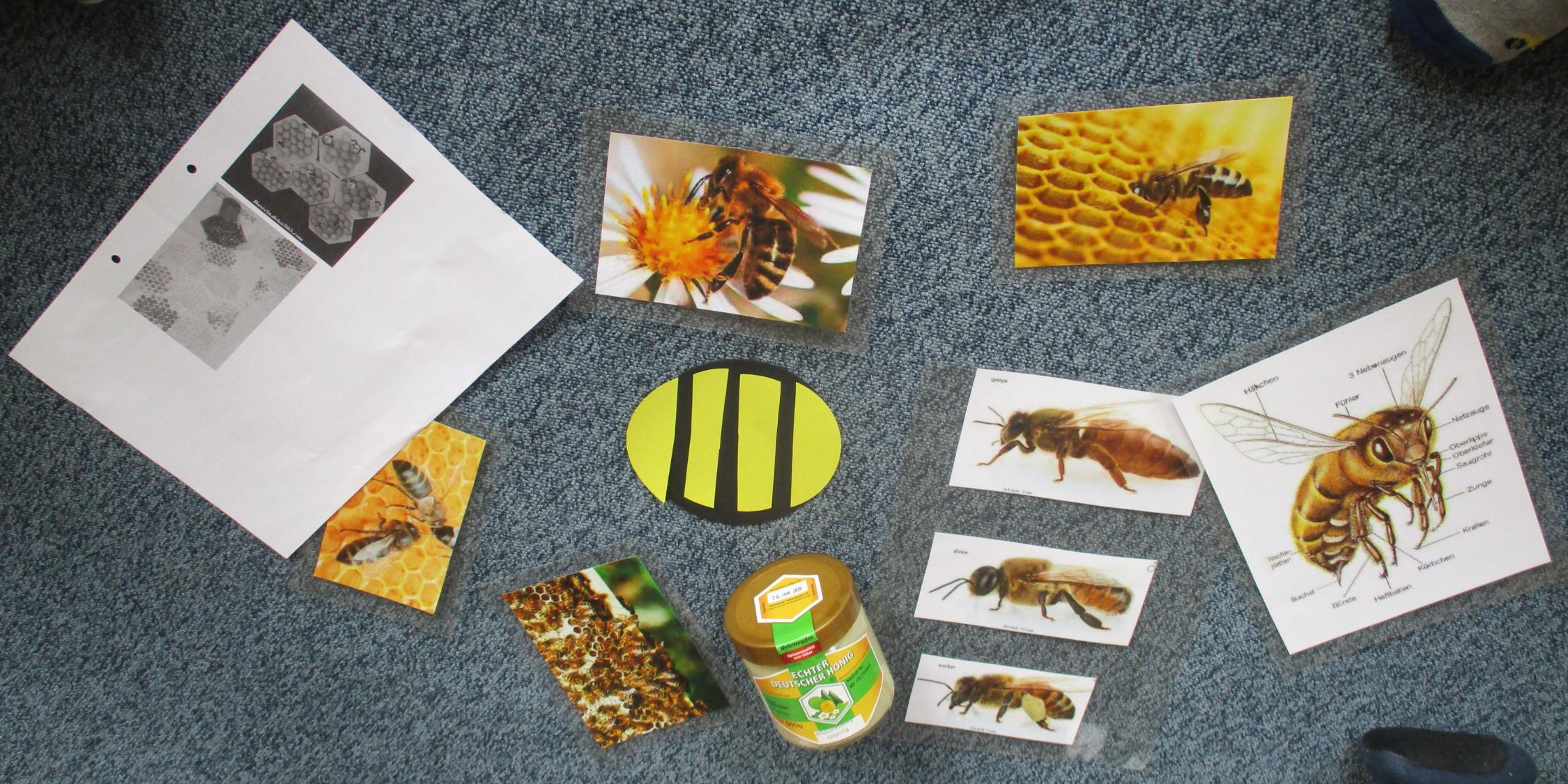 Bienen-Projekt in der Krippe
