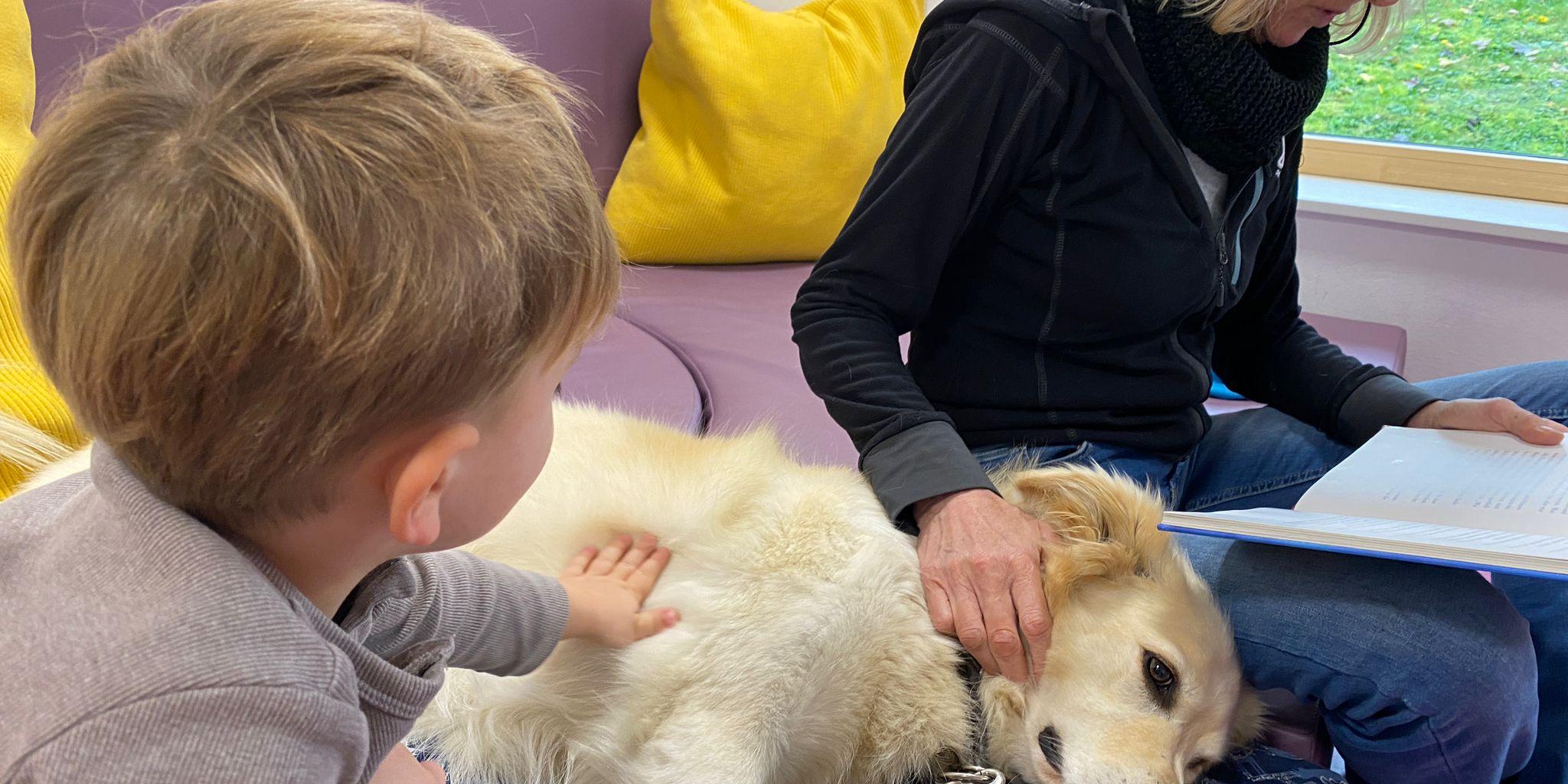 Lesehund Lila lässt sich beim Vorlesen genüsslich streicheln