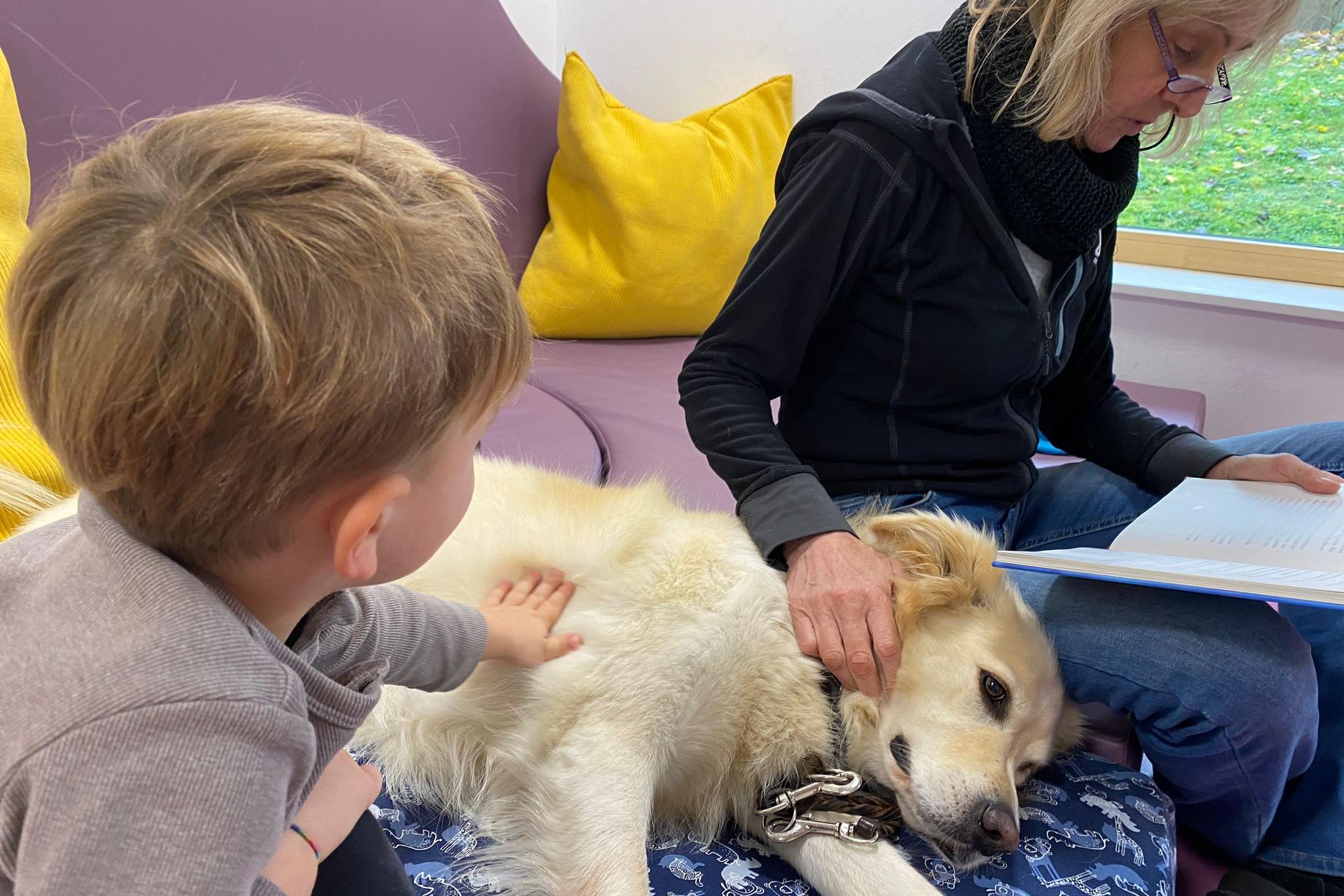 Lesehund Lila lässt sich beim Vorlesen genüsslich streicheln